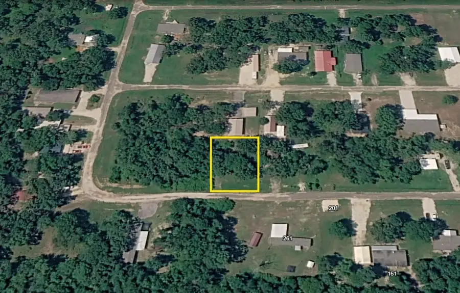 297 Leaning Oak Drive, Point Blank, TX 77364 - #3