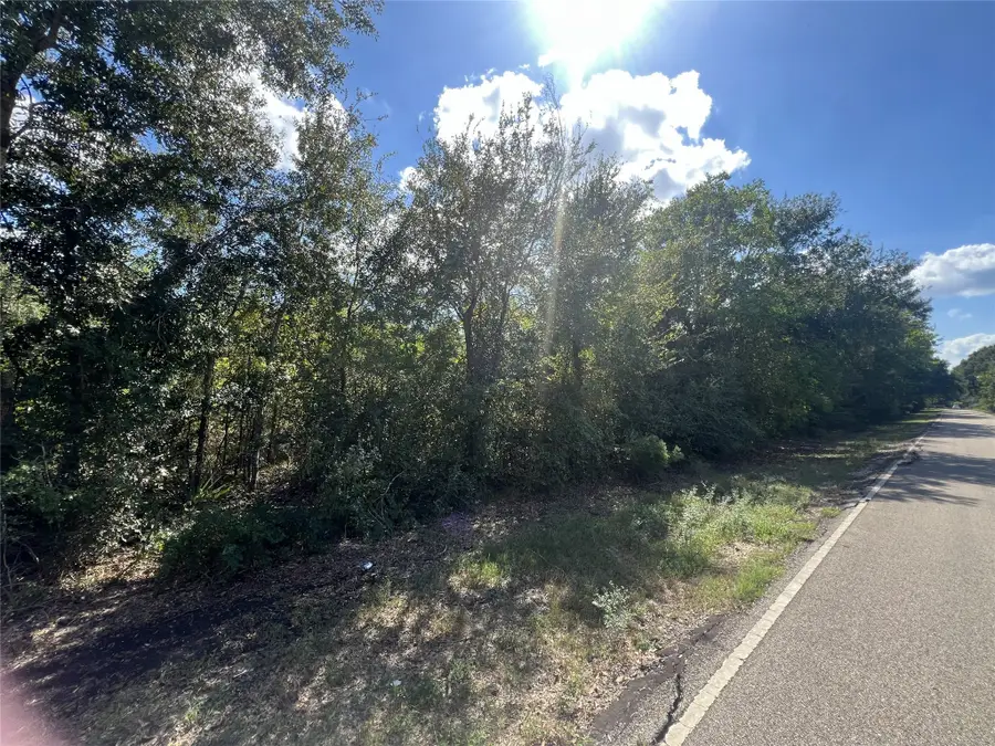0 County Road 814 Road, Brazoria, TX 77422 - #2