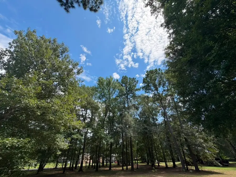 9806 State Highway 156, Coldspring, TX 77331 - #3