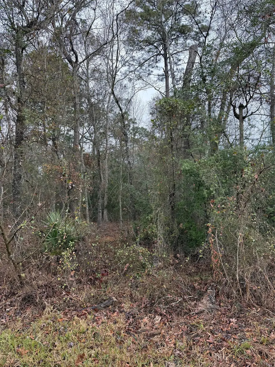 TBD River E, Splendora, TX 77372 - #3