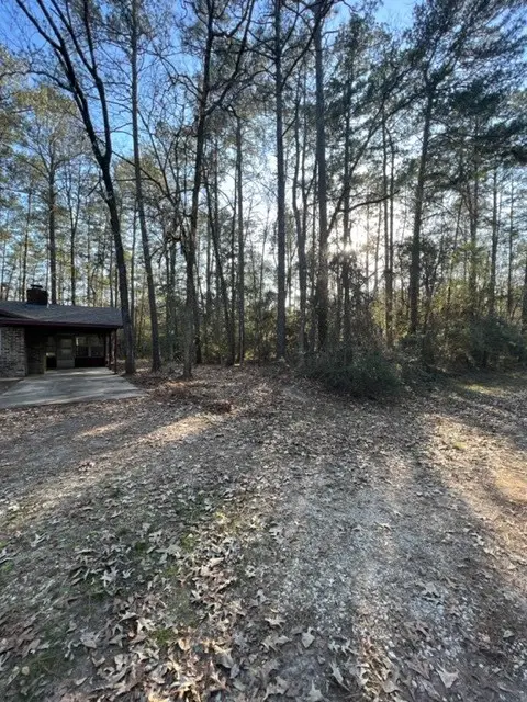 329 Blue Willow Drive, Village Mills, TX 77663 - #2