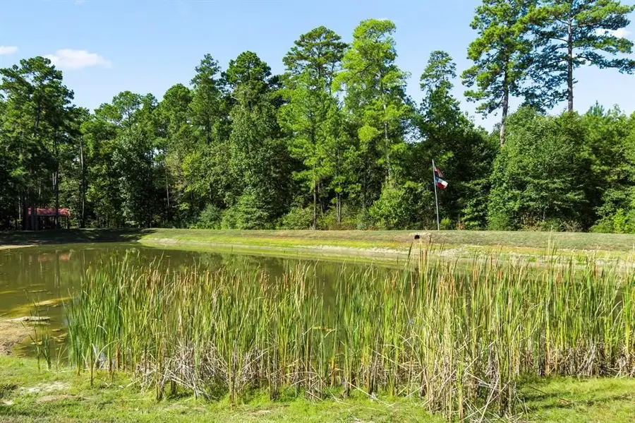 00 Sky Oak Lane Lane, Huntsville, TX 77340 - Image #3