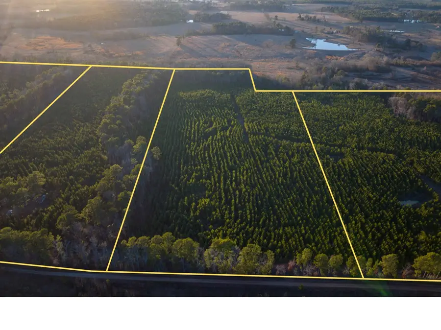 T-3 Cr 4415, Annona Avery, TX 75559 - #2