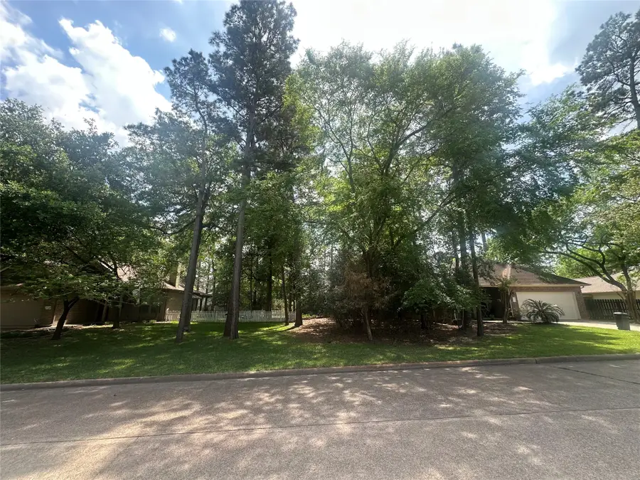 11331 Burning Tree Drive, Montgomery, TX 77356 - #2