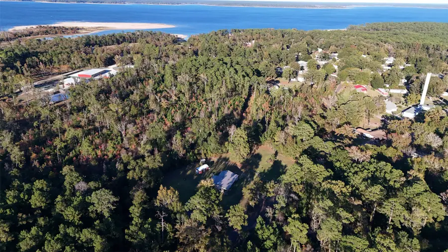 00 Mollywood Road, Zavalla, TX 75980 - #3