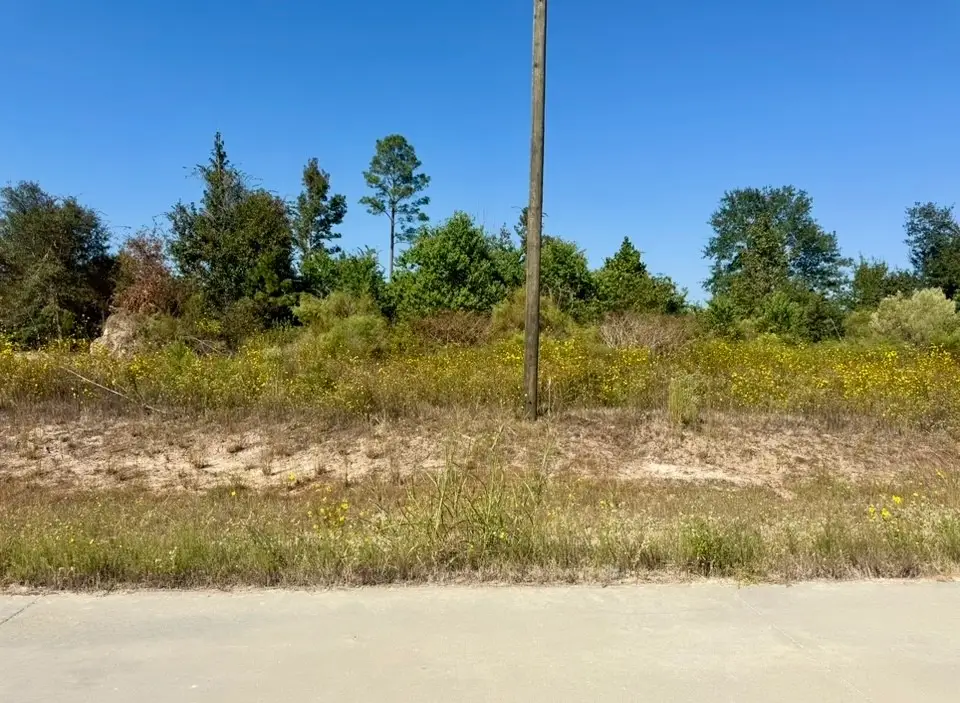 5312 Road 5914-08 Radial, Cleveland, TX 77327 - Image #1