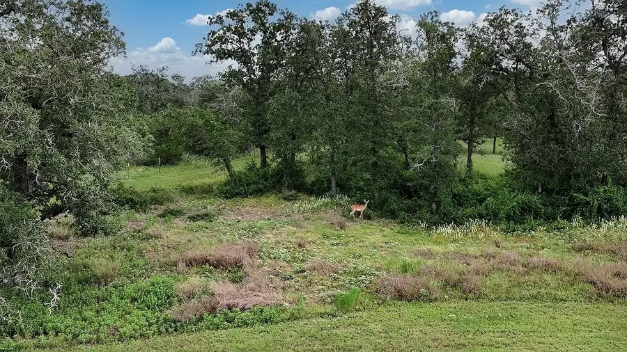 2625 Burke Road, Flatonia, TX 78941 - #3
