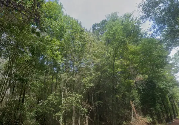 25581 Northampton, New Caney, TX 77357