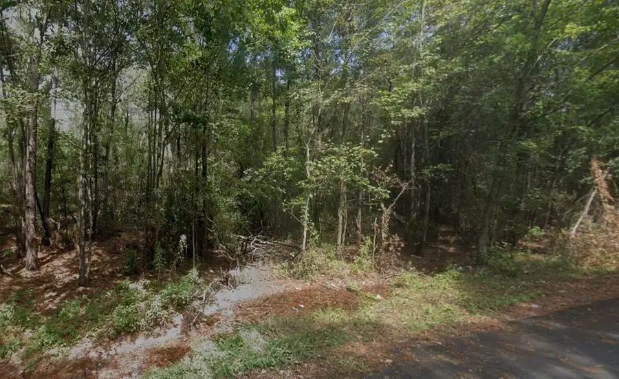 25581 Northampton, New Caney, TX 77357 - #3