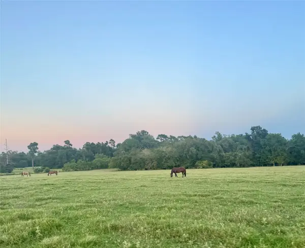 75 ACRES Spring Branch Road, Montgomery, TX 77316