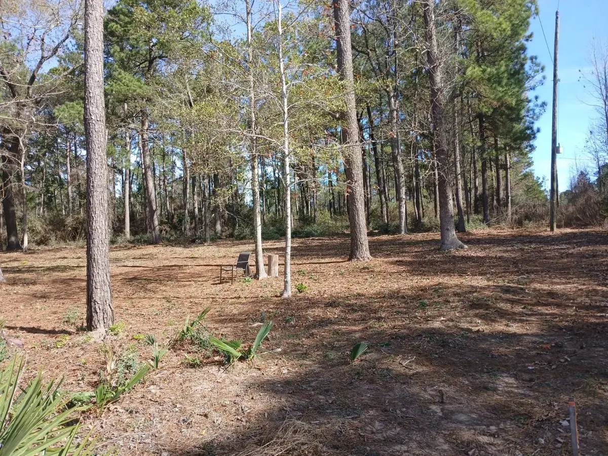 TBD Yupon Lane, Plantersville, TX 77363 - #1