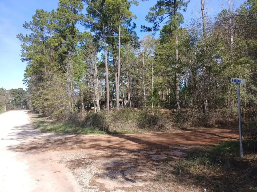 TBD Yupon Lane, Plantersville, TX 77363 - #2