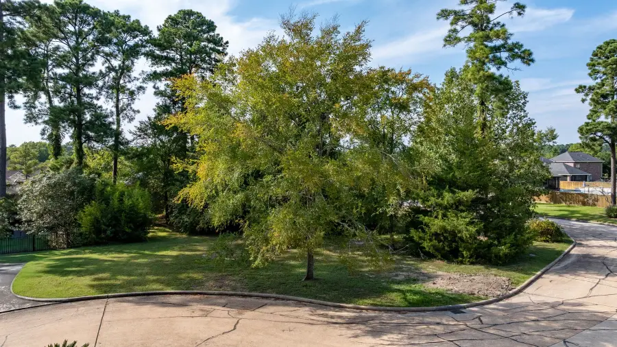 15 Stanford Court, Montgomery, TX 77356 - #2