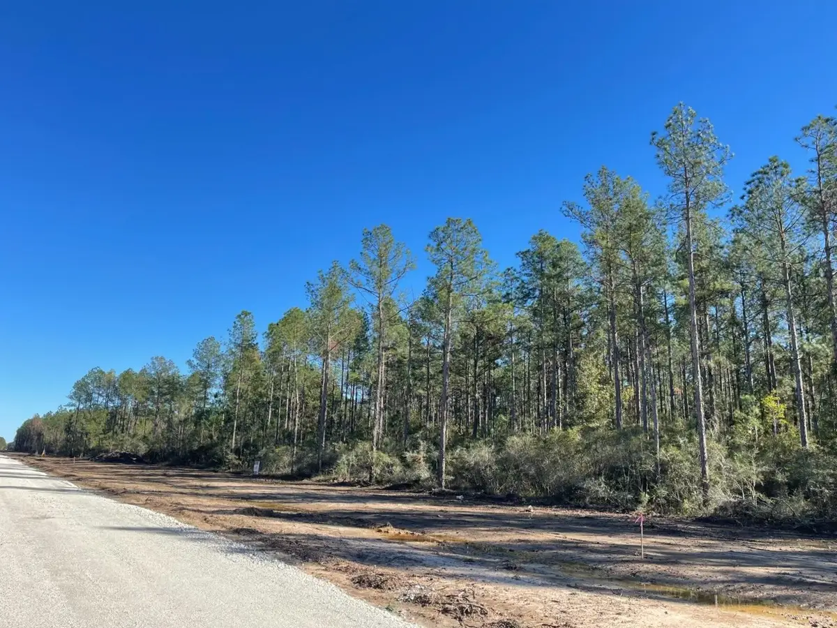 TBD Black Cat Road, Sour Lake, TX 77659 - #1