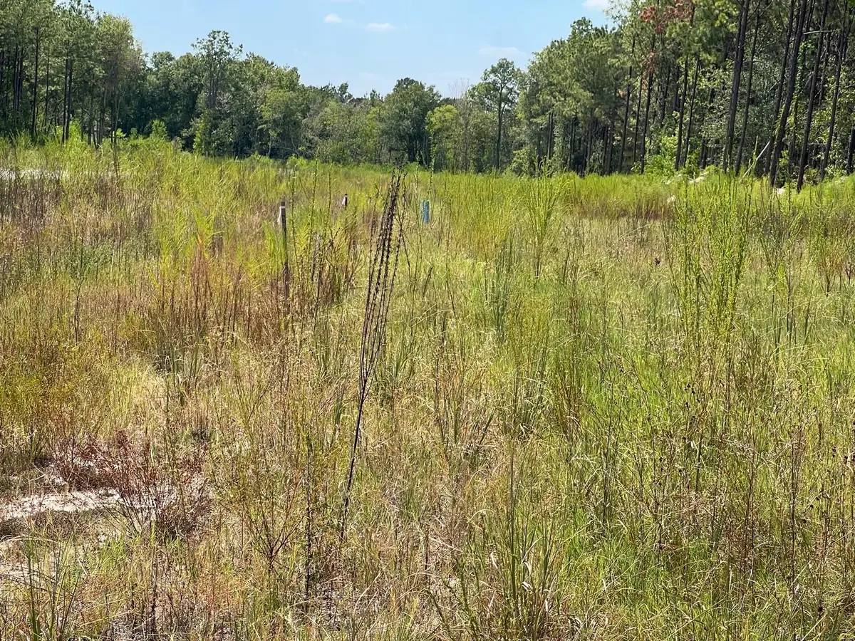 1317 Road 5890, Cleveland, TX 77327 - Image #1