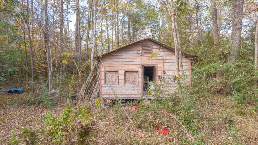 162 Meadow Ln, Livingston, TX 77351 - Image #3