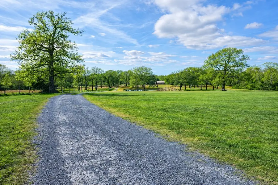 7210 County Road 2761, Buffalo, TX 75831 - #3