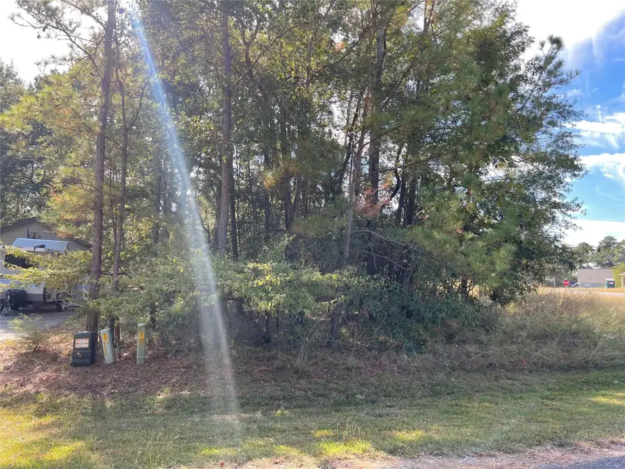 40 Knight Lane Drive, Coldspring, TX 77331 - #2