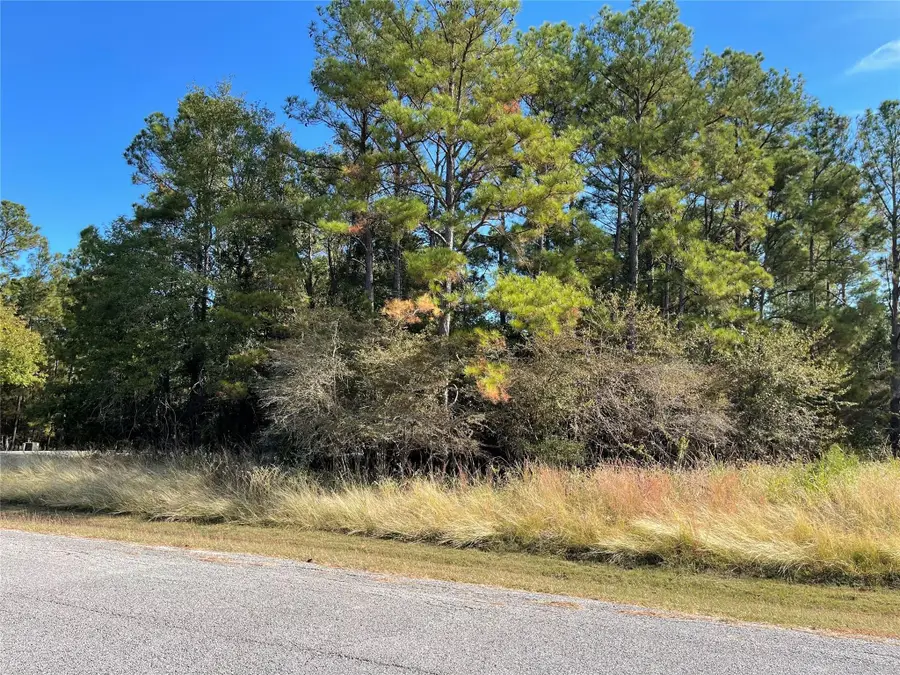 40 Knight Lane Drive, Coldspring, TX 77331 - #3