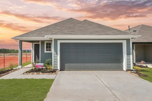 13769 Sunshine Peak Drive, Willis, TX 77318