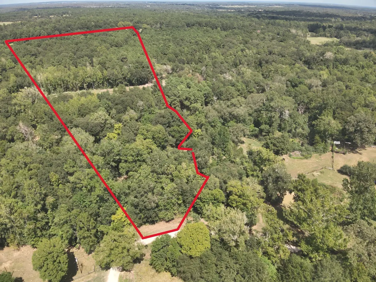 12.72 AC Cr 134 Bocaregra Road, Leona, TX 75850 - #1