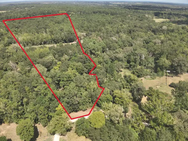 12.72 AC Cr 134 Bocaregra Road, Leona, TX 75850
