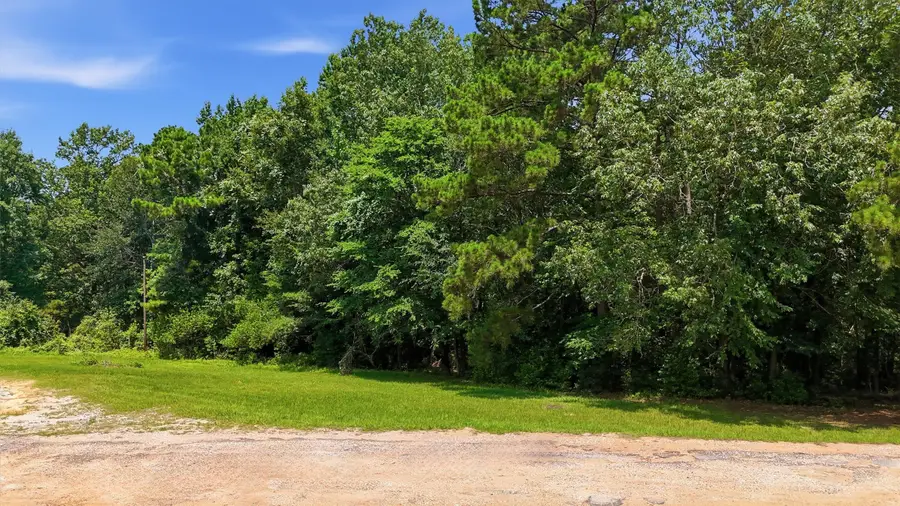 158 Hilltop Drive, Coldspring, TX 77331 - #2