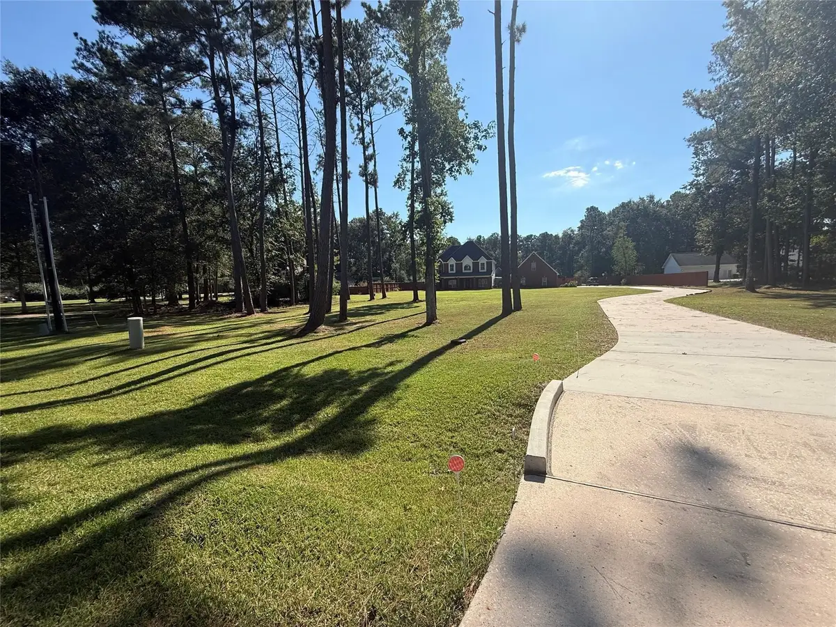 29602 Commons Forest Drive, Huffman, TX 77336 - Image #1