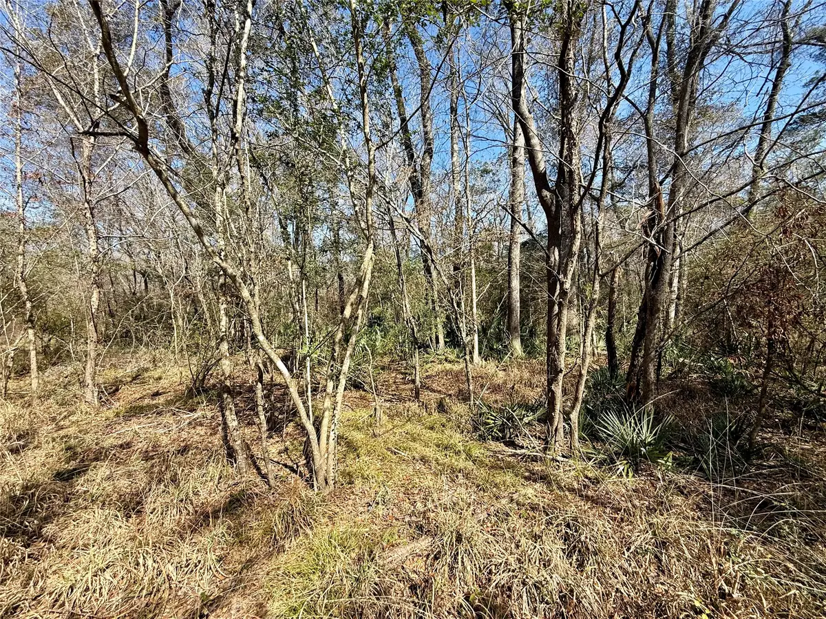 0 Redbud Drive, Conroe, TX 77302 - #1