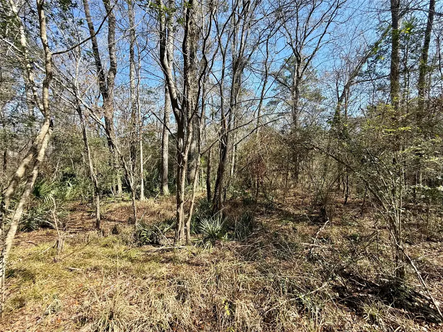 0 Redbud Drive, Conroe, TX 77302 - #2