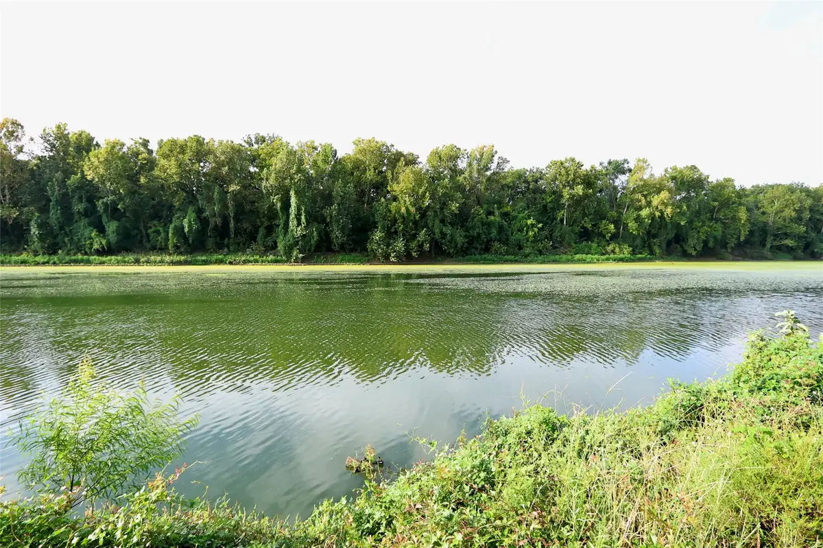 126 Kings Point Rd, Trinity, TX 75862 - #1
