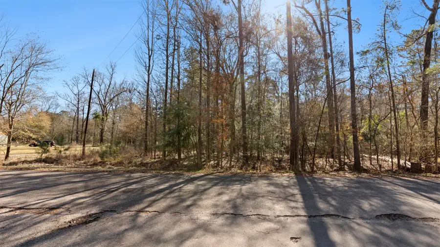 0000 Jack Frost, Onalaska, TX 77360 - #2