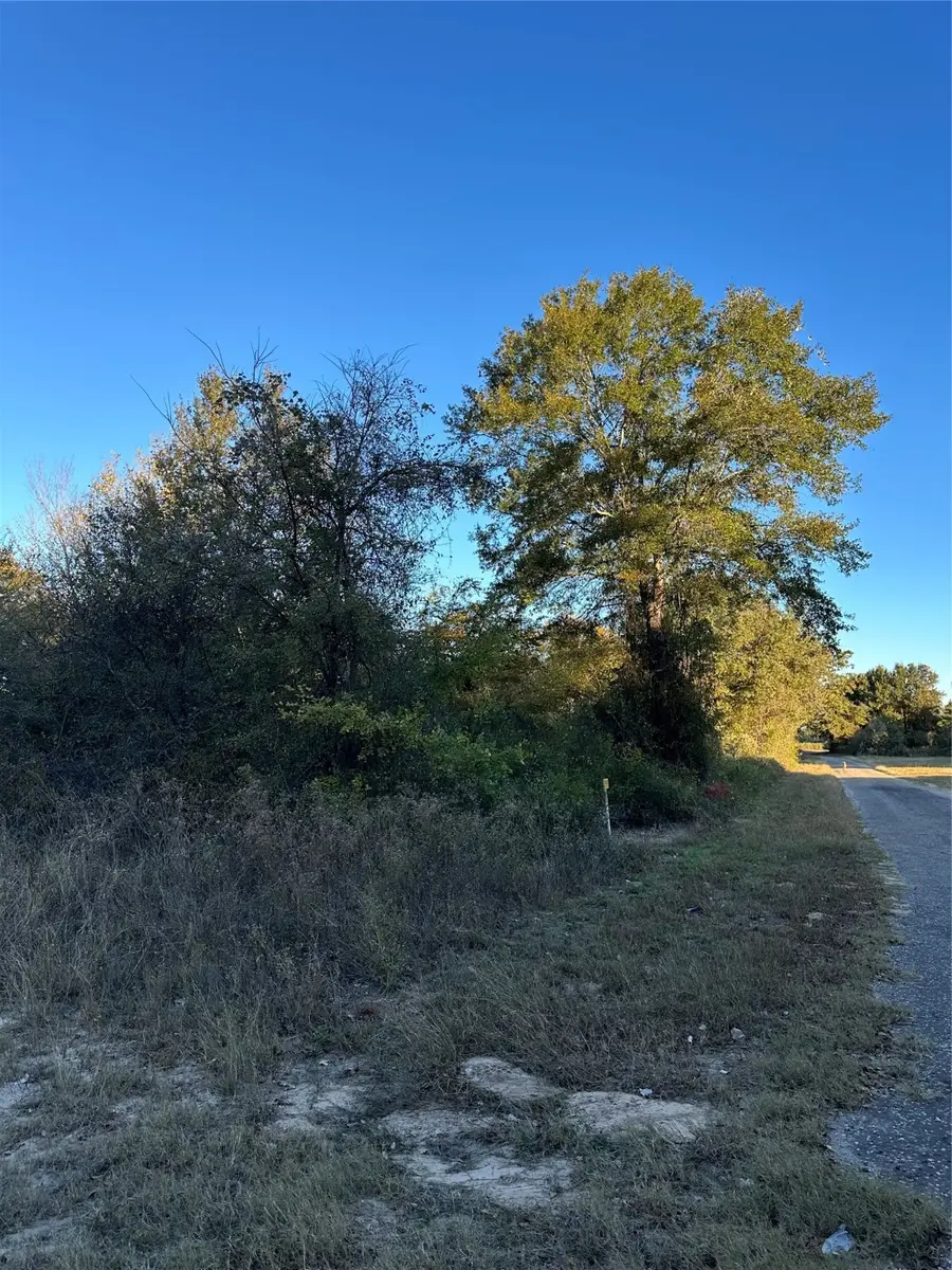 111 Private Rd 937, Teague, TX 75860 - Image #3