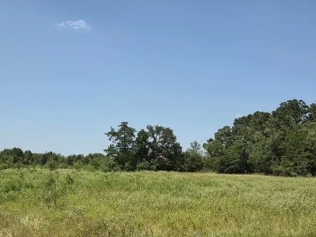 0 Hwy 14, Thornton, TX 76687 - #1