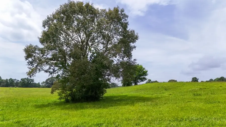 00 County Rd 2780, Colmesneil, TX 75938 - #3