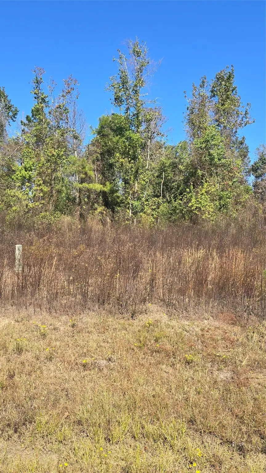 1167 Road 5894, Cleveland, TX 77327 - Image #2