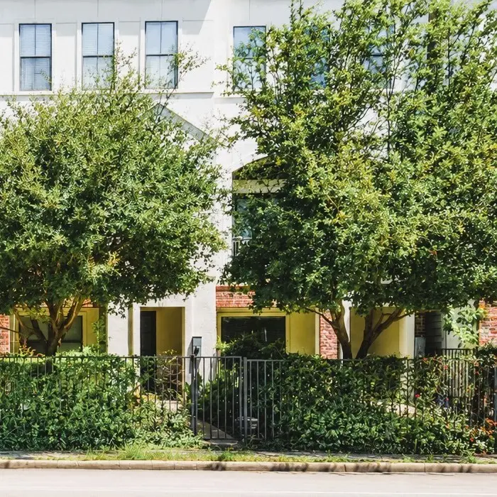 1206 W Dallas Street, Houston, TX 77019 - #1