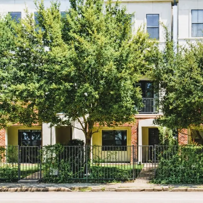 1206 W Dallas Street, Houston, TX 77019 - #2