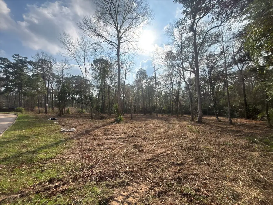 1746 Woodway Drive, Woodbranch, TX 77357 - #2