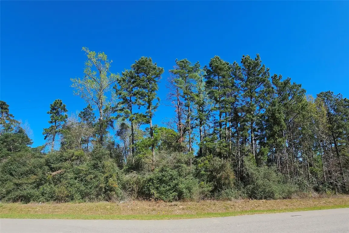 180 Hall Drive S, Montgomery, TX 77316 - #1