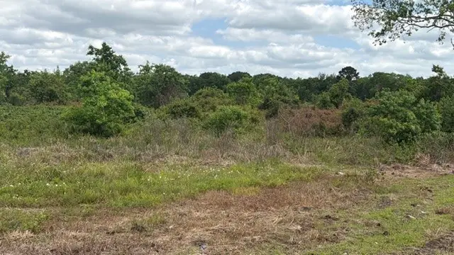 1711 County Road 773, Angleton, TX 77515 - #3