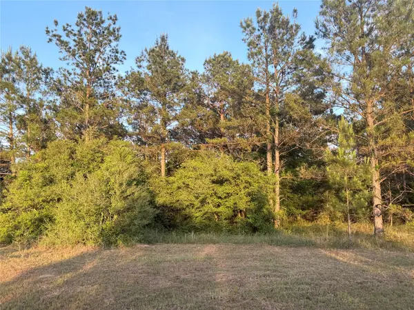 9130 Black Buck Lane, Conroe, TX 77303