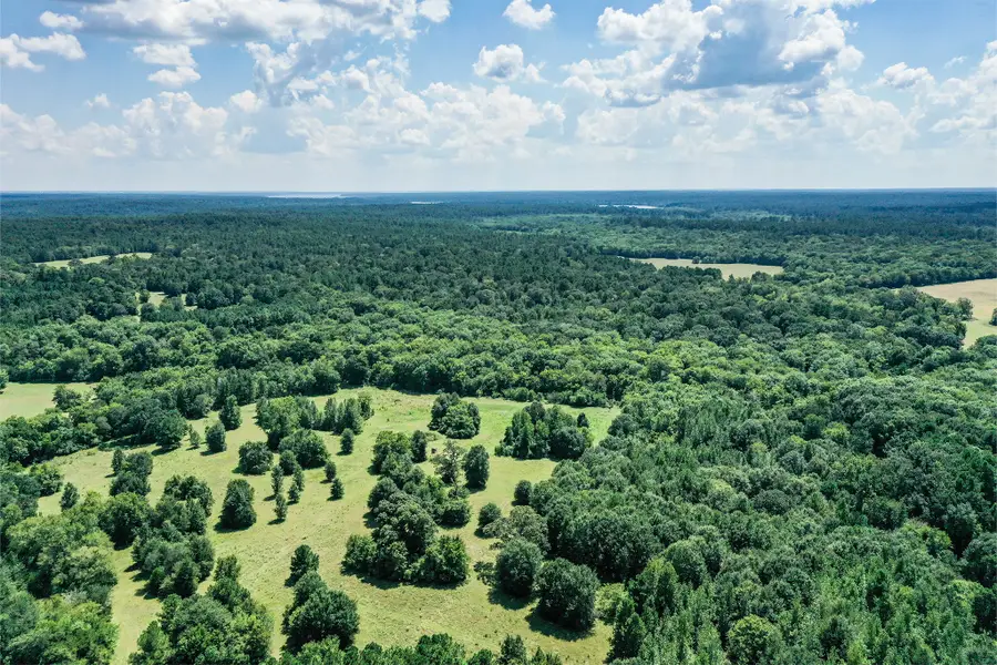 150 Acres Fm 1374, Huntsville, TX 77340 - #3