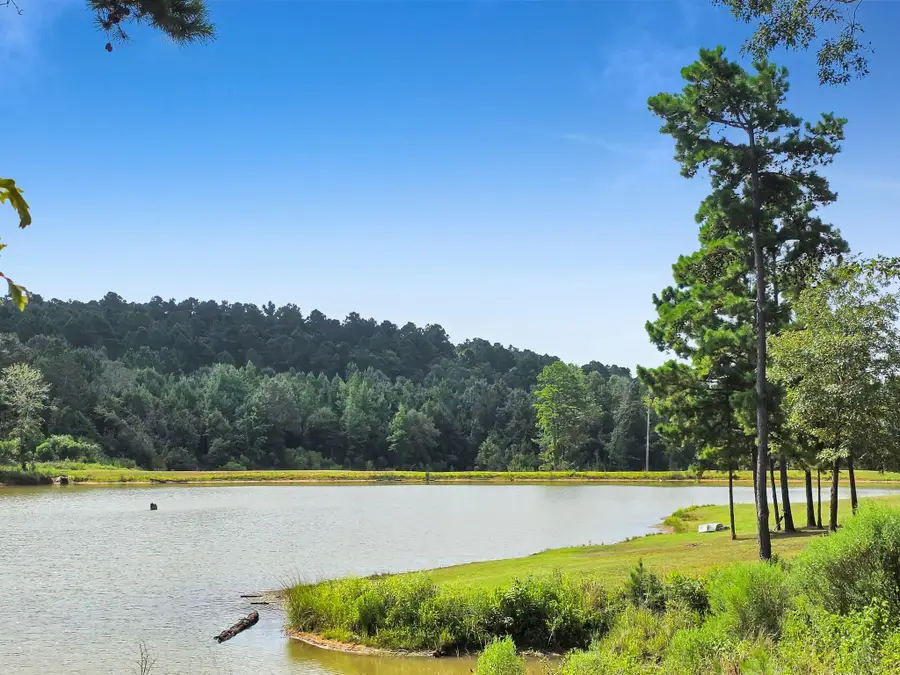 10024 Cr 207, Centerville, TX 75833 - #2