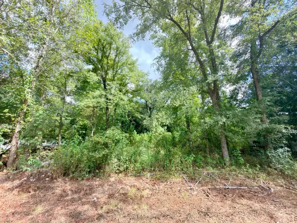 10839 River Dr, Houston, TX 77385