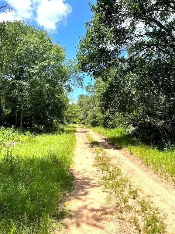 0 Jack Rabbit, Hempstead, TX 77445 - #1