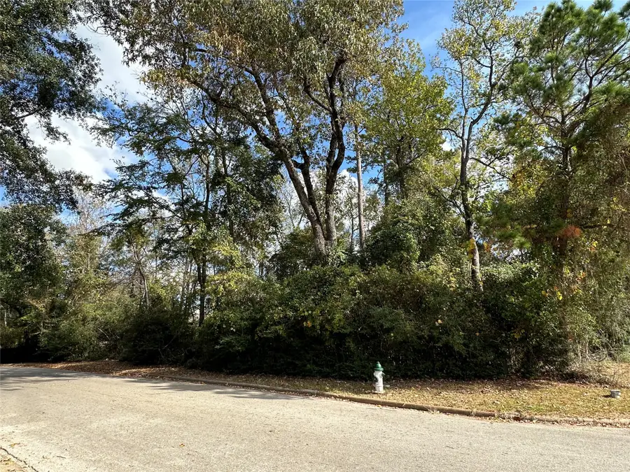 218 Broadmoor Drive, Huntsville, TX 77340 - Image #2