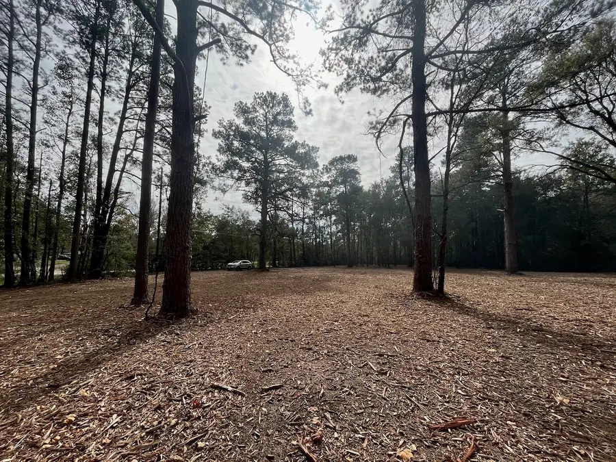 10690 Waukegan Road, Conroe, TX 77306 - Image #2