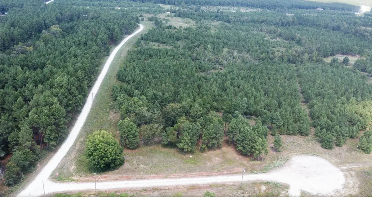 TBD Hunt Ct, Lovelady, TX 75851 - #1