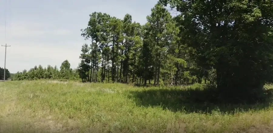 TBD Hunt Ct, Lovelady, TX 75851 - #3